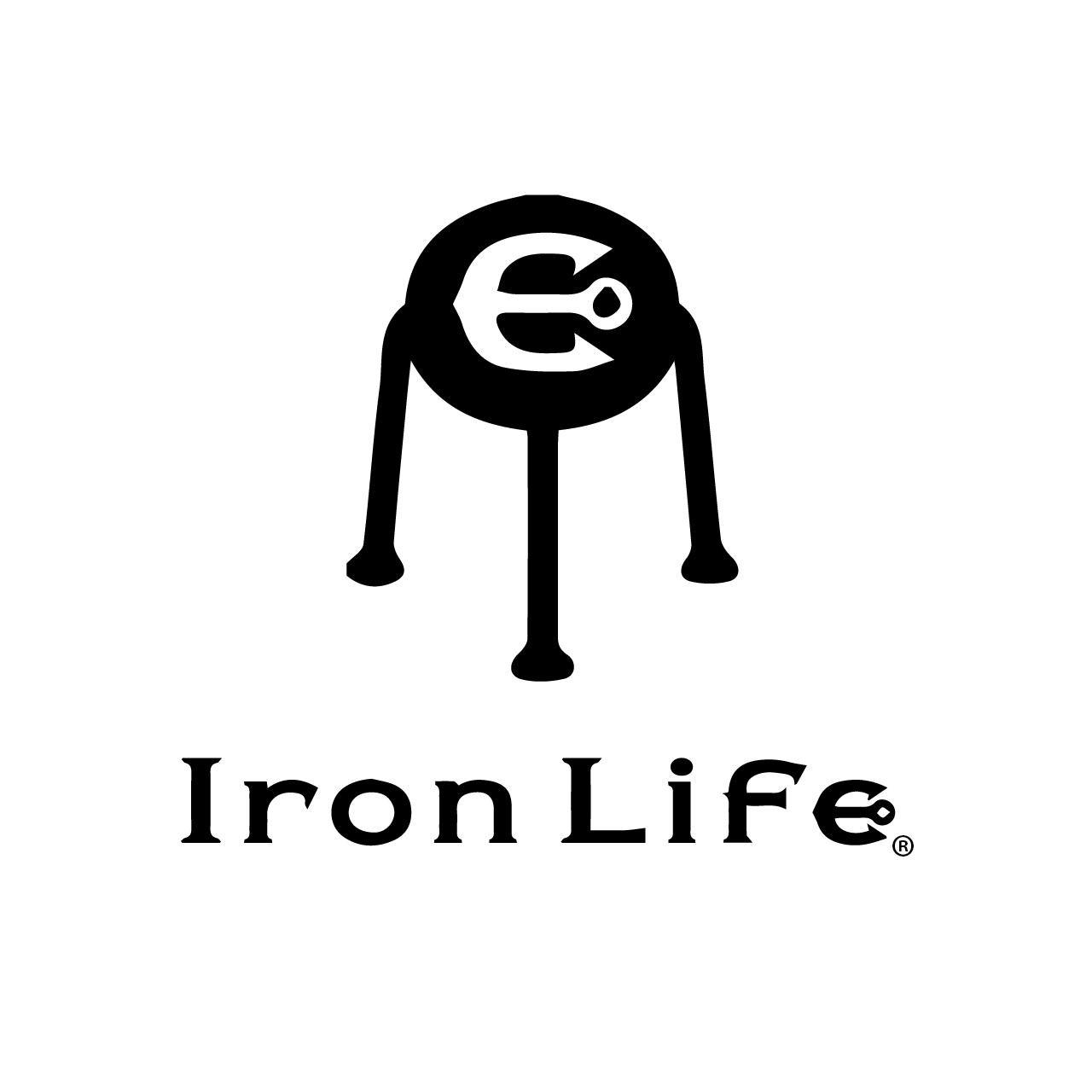 ironlife_anatech